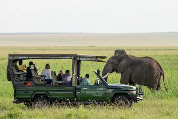 Little Governors' Camp: Game Drive