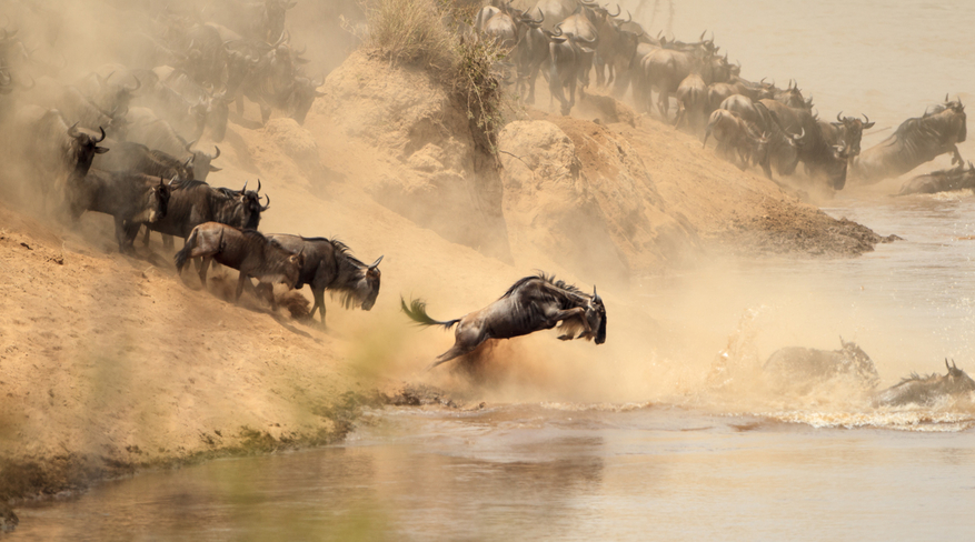 Mara Kati Kati Tented Camps