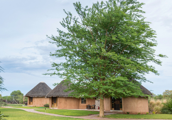 Onguma Bush Camp: Rondavels