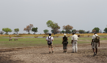 Shinde Lodge Shinde Lodge: Tierbeobachtung