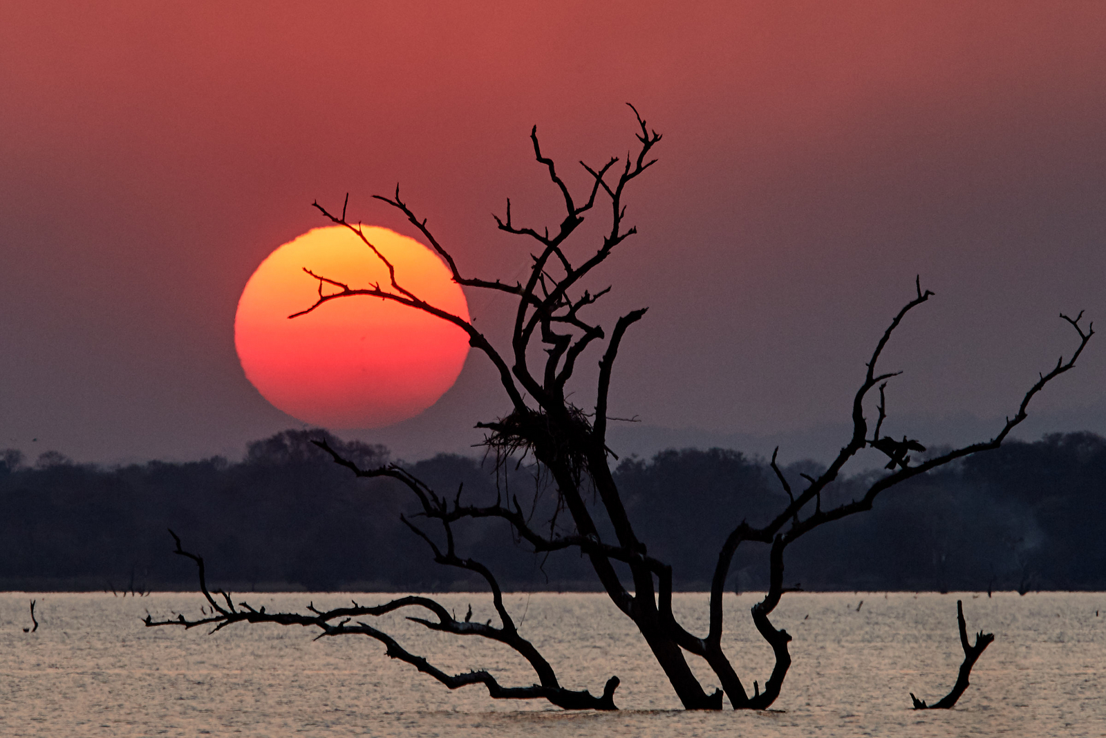 Konkamoya Lodge Konkamoya Lodge: Untergehende Sonne