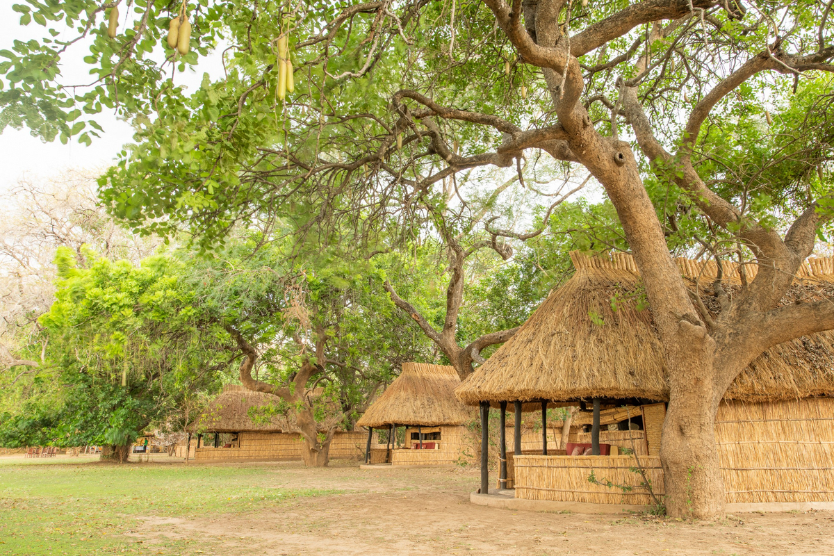 Tafika Camp Tafika Camp