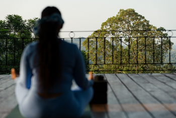 Gibb's Farm: Yoga mit Ausblick