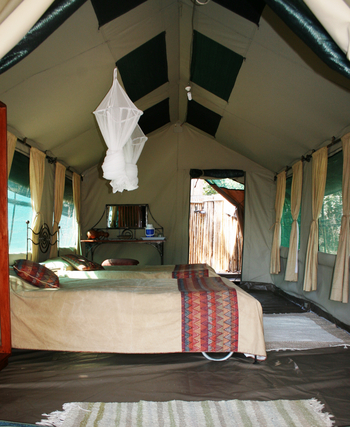 Goliath Tented Camp Goliath Tented Camp: Zeltinterieur