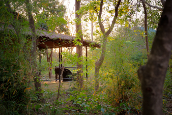Jim's Jungle Retreat: Jungle Cottage - Exterieur