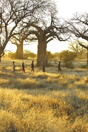Kichaka Zumbua Camp: Walking zwischen Baobabs