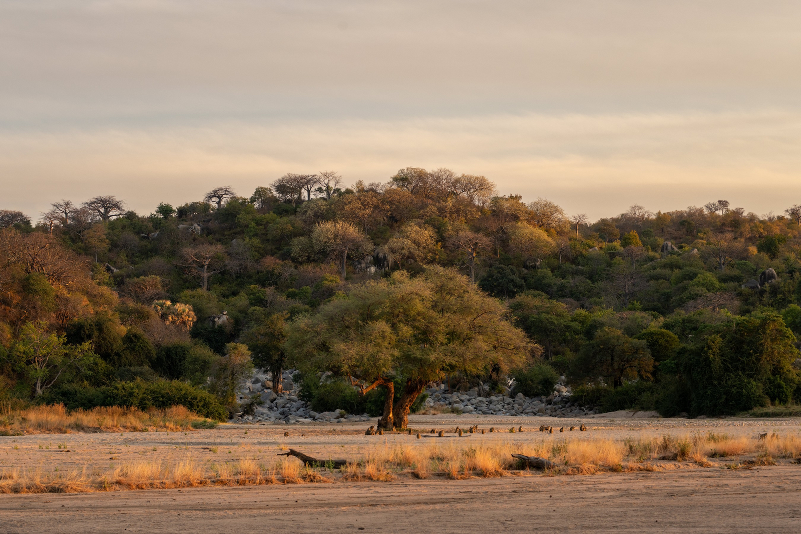 Kokoko Camp Kokoko Camp: Landschaft