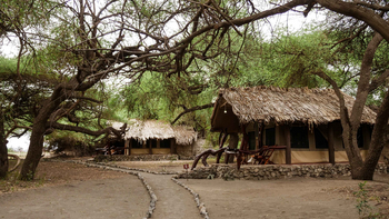 Lake Natron Tented Camp: Rustikale Zelte unter dichten Bäumen