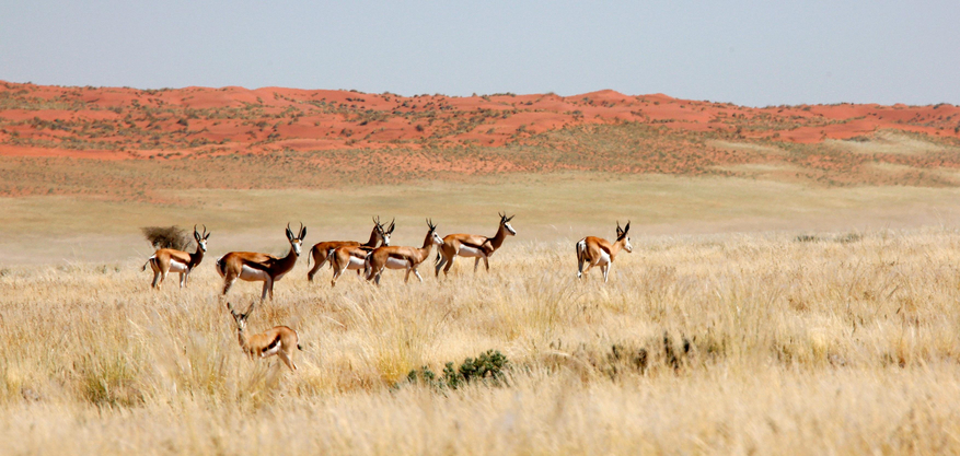 Namtib Desert Lodge