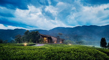 One and Only Nyungwe House: Misty Twilight