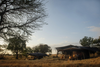 Siringit Migration Camp: Nachbarzelte