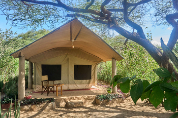 Tindiga Tented Camp: Veranda mit Holzstuhl und Topfpflanze