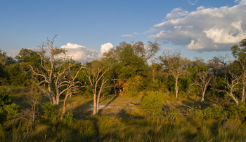 Camp Moremi: Gästezimmer