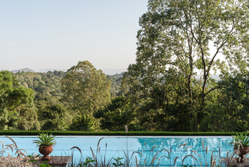 Gibb's Farm: Pool Ausblick