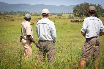 Kidepo National Park: Walking Safari