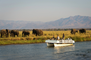 Little Ruckomechi Camp: Boot mit Blick auf Elefanten