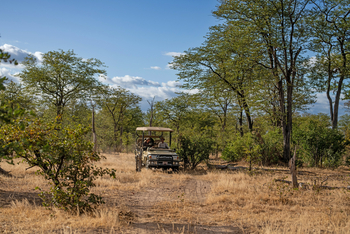 Mana River Camp Mana River Camp: Game Drive