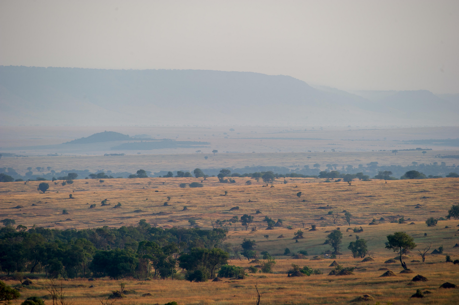 Mara Mara Tented Lodge Mara Mara Tented Lodge: Landschaft von oben