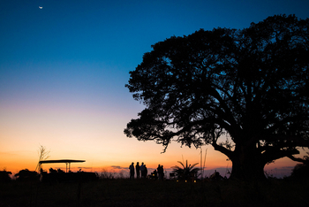 Mukambi Busanga Plains Camp: Sundowner