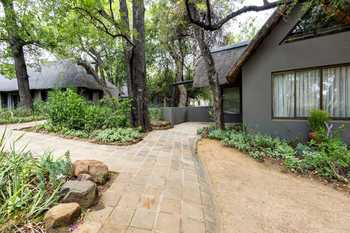 Sabi Sabi Bush Lodge: Naturpfad und Strohdach bei Tageslicht