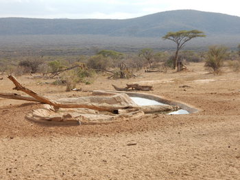 Saruni Samburu: Underground Hide