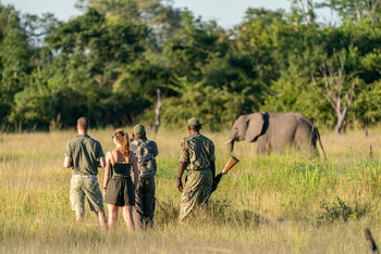 Time + Tide South Luangwa Time + Tide South Luangwa: Walking Safari