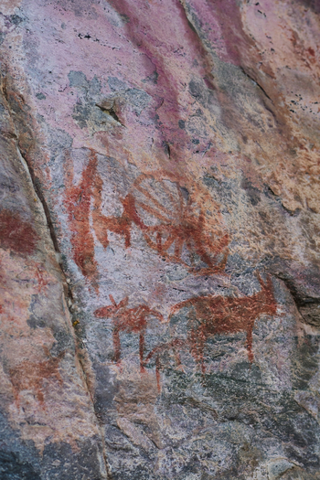 Tsodilo Hills Sleep-out: Felsmalereien