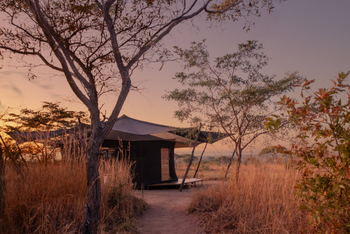 Usangu Expedition Camp: Gästezelt