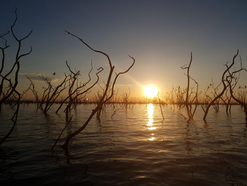 Bumi Hills Safari Lodge: Untergehende Sonne über dem Wasser