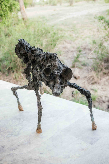 Cheetah Plains Mapogo House: Kunst
