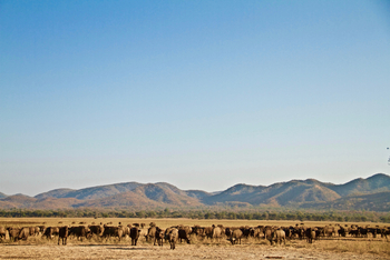 Classic Zambia Safaris Classic Zambia Safaris: Landschaft