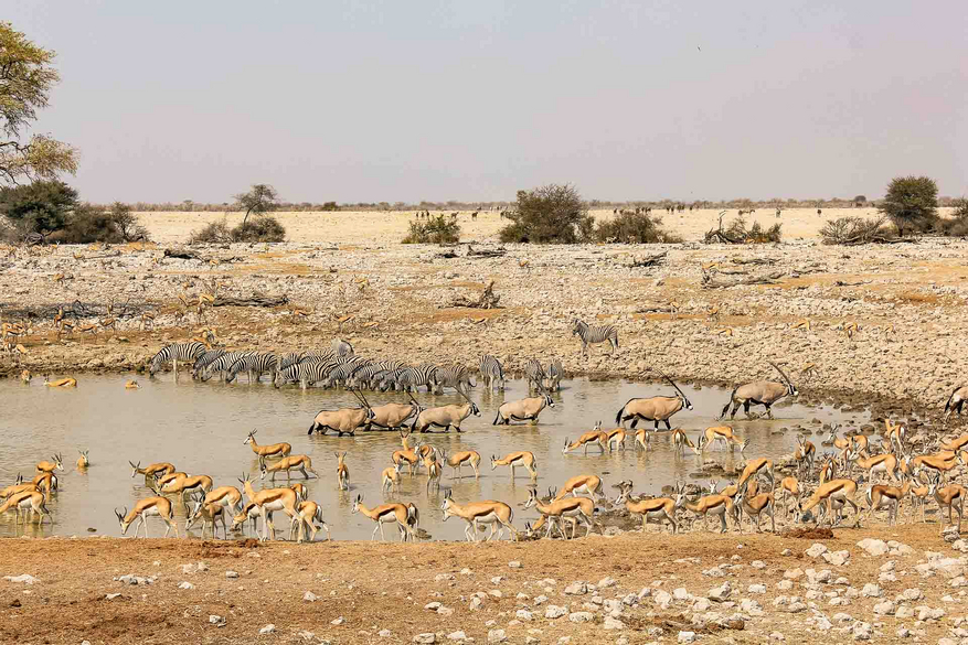 Etosha Oberland Lodge