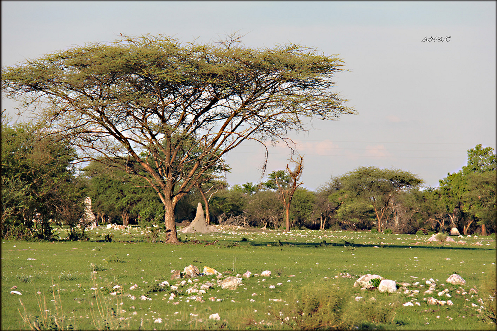 Fiume Lodge Fiume Lodge