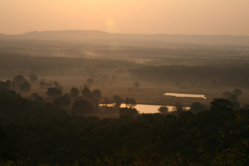 Flame of the Forest Safari Lodge: Abendstimmung