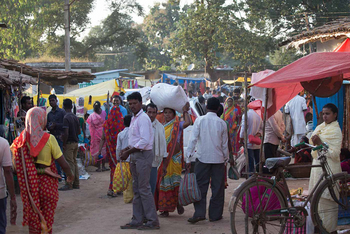 Flame of the Forest Safari Lodge: Markt