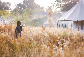 Jamtara Wilderness Camp: Kaffee am Morgen