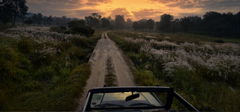 Kanha Earth Lodge: Sonnenaufgang