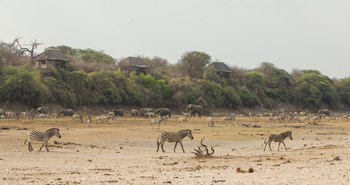 Leroo La Tau Lodge: Ausgetrocknetes Flussbett