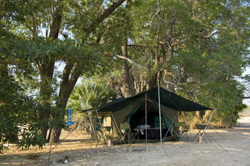 Luangwa Bush Camping Luangwa Bush Camping: Zelt unter Bäumen