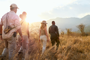 Mkomazi Wilderness Retreat: Gäste auf Pirschwanderung im goldenen Abendlicht