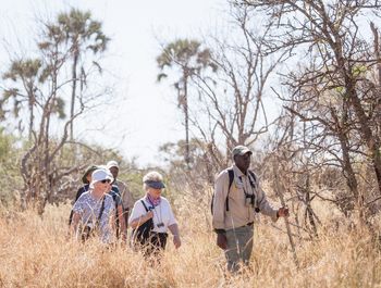 Moremi Crossing: Guide mit Gästen