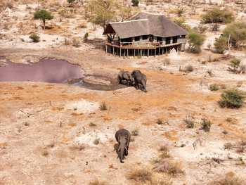 Motswiri Hideaway: Elefanten vor der Lodge