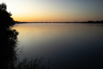Mukwa River Lodge: Abend