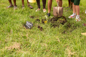 Olare Mara Kempinski: Bäume pflanzen