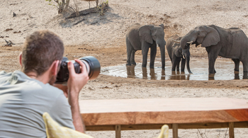 Savute Safari Lodge: Zum Fotografieren nahe