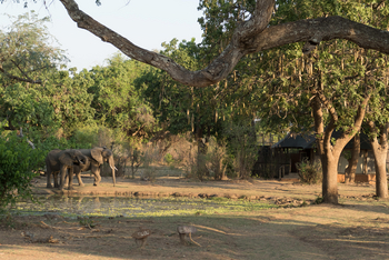 Three Rivers Camp Three Rivers Camp: Wasserloch am Camp