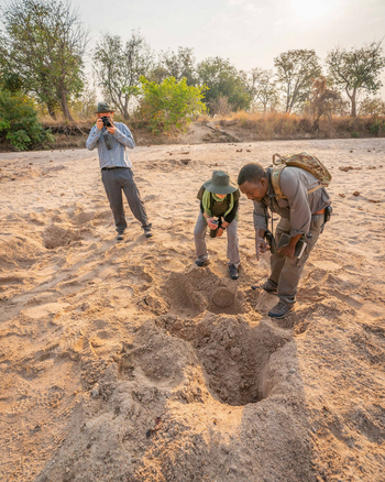 Time + Tide South Luangwa Time + Tide South Luangwa: Walking Safari