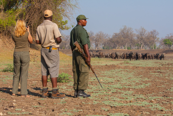 Track and Trail River Camp Track and Trail River Camp: Walking Safari