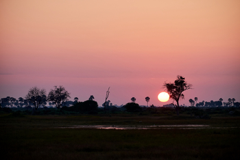 Xigera Safari Lodge Xigera Safari Lodge: Sonnenuntergang