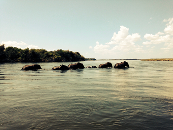 Classic Zambia Safaris Classic Zambia Safaris: Landschaft